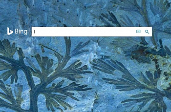 Поисковик Bing тестирует новый формат поискового продвижения
